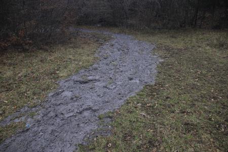 20211125_Divji_potok_Srednja_vas (10)